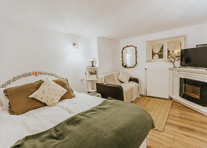 Republicii Rustic Apartament in Brașov City Center